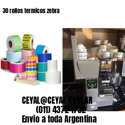 30 rollos termicos zebra