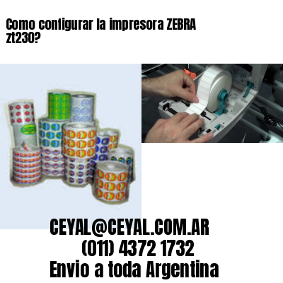 Como configurar la impresora ZEBRA zt230?