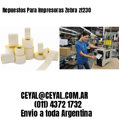 Repuestos Para Impresoras Zebra zt230
