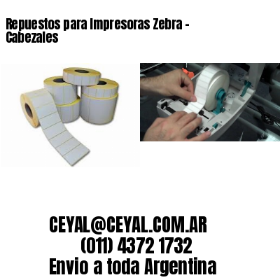 Repuestos para Impresoras Zebra – Cabezales