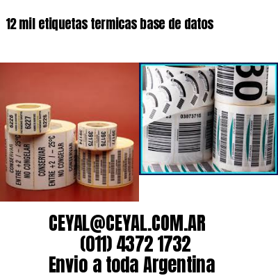 12 mil etiquetas termicas base de datos