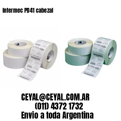 Intermec PD41 cabezal