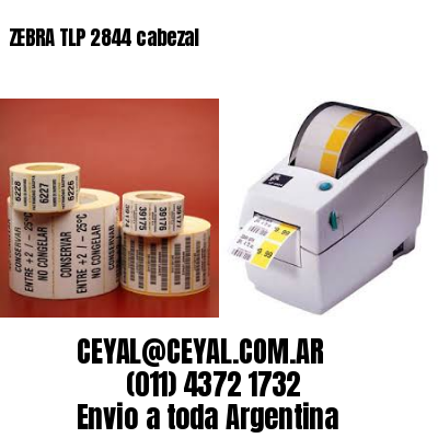ZEBRA TLP 2844 cabezal