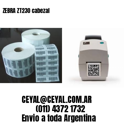 ZEBRA ZT230 cabezal
