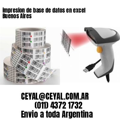 impresion de base de datos en excel Buenos Aires