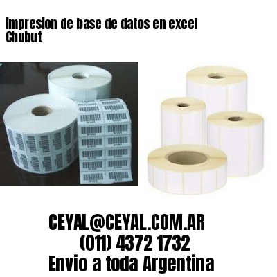impresion de base de datos en excel Chubut