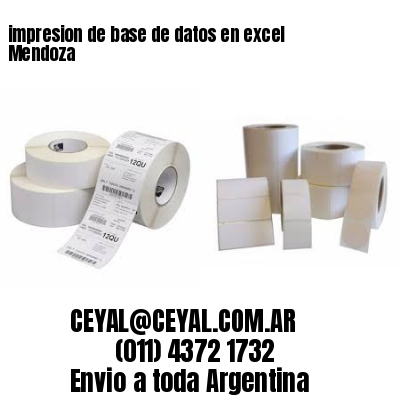impresion de base de datos en excel Mendoza