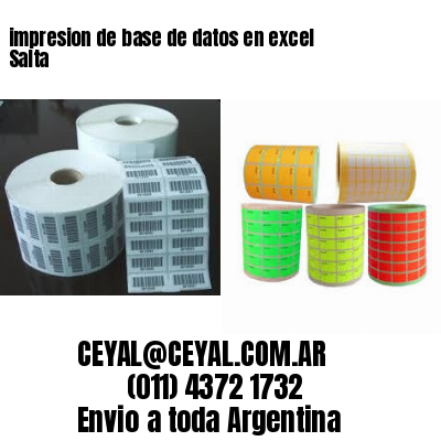 impresion de base de datos en excel Salta