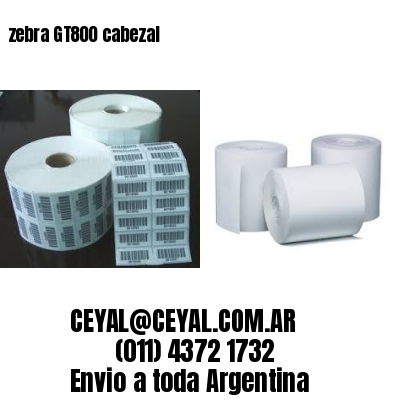 zebra GT800 cabezal