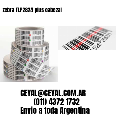 zebra TLP2824 plus cabezal