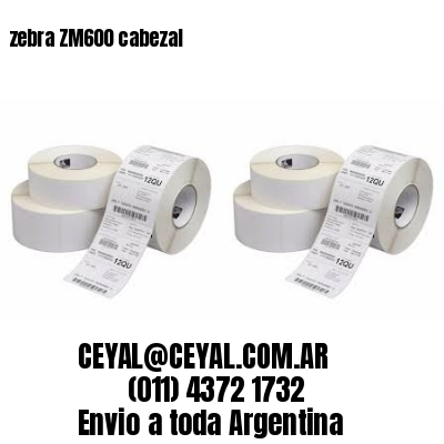 zebra ZM600 cabezal