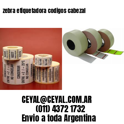 zebra etiquetadora codigos cabezal
