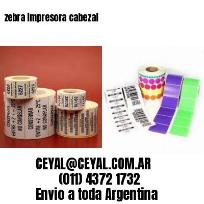zebra impresora cabezal