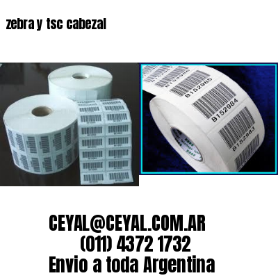 zebra y tsc cabezal