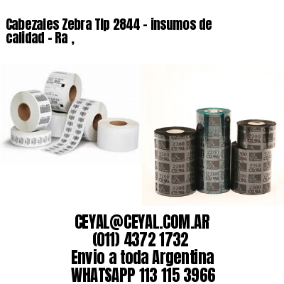 Cabezales Zebra Tlp 2844 - insumos de calidad – Ra ,