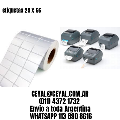 etiquetas 29 x 66