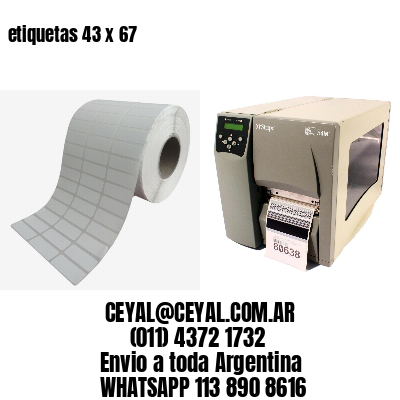etiquetas 43 x 67