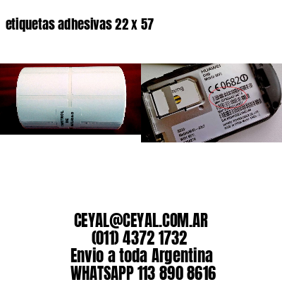 etiquetas adhesivas 22 x 57