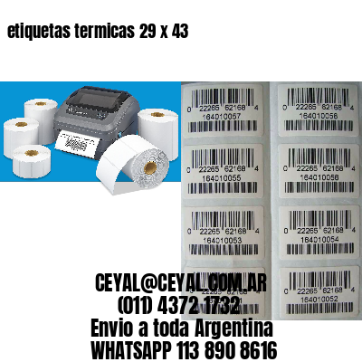etiquetas termicas 29 x 43