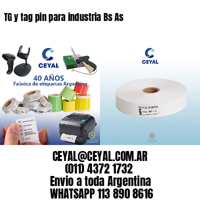 TG y tag pin para industria Bs As