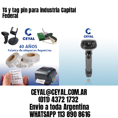 TG y tag pin para industria Capital Federal