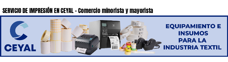 SERVICIO DE IMPRESIÓN EN CEYAL - Comercio minorista y mayorista