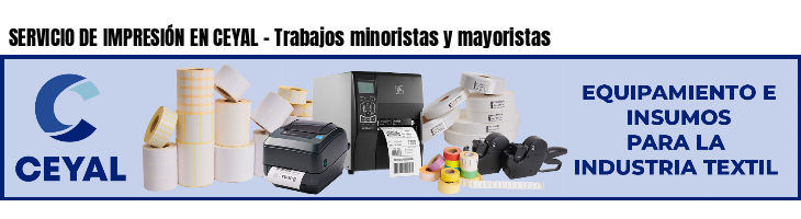 SERVICIO DE IMPRESIÓN EN CEYAL - Trabajos minoristas y mayoristas