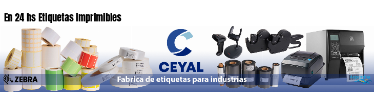 En 24 hs Etiquetas imprimibles