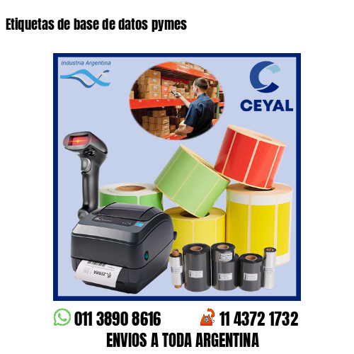 Etiquetas de base de datos pymes