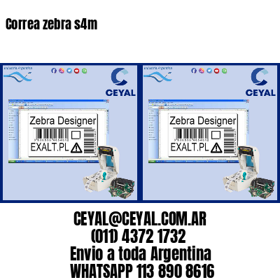 Correa zebra s4m