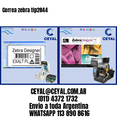 Correa zebra tlp2844