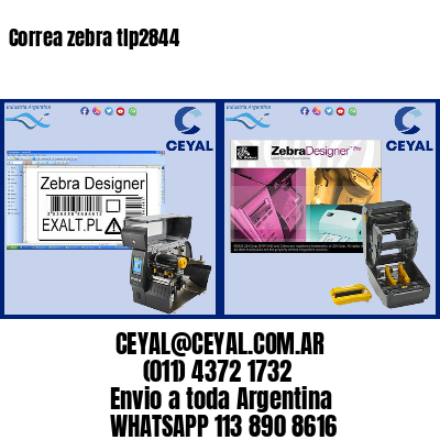 Correa zebra tlp2844