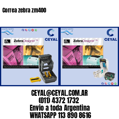 Correa zebra zm400