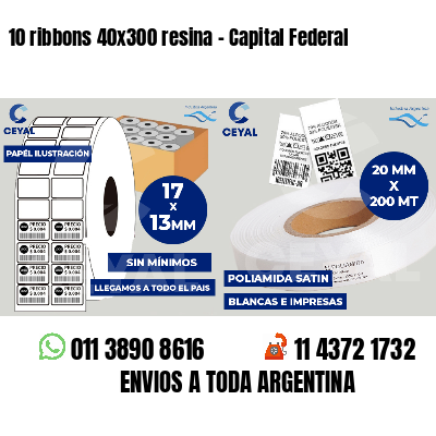 10 ribbons 40x300 resina - Capital Federal