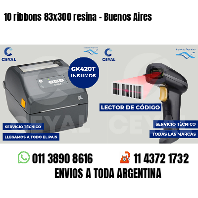 10 ribbons 83x300 resina - Buenos Aires