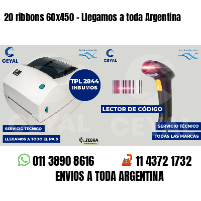 20 ribbons 60x450 - Llegamos a toda Argentina