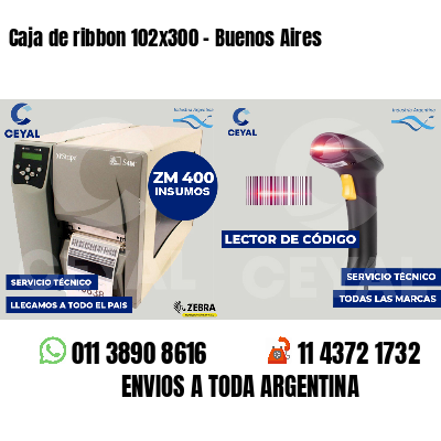 Caja de ribbon 102x300 - Buenos Aires