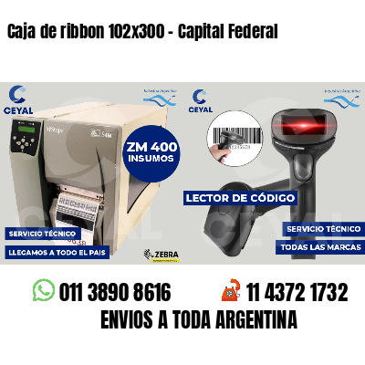 Caja de ribbon 102x300 - Capital Federal