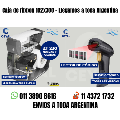 Caja de ribbon 102x300 - Llegamos a toda Argentina