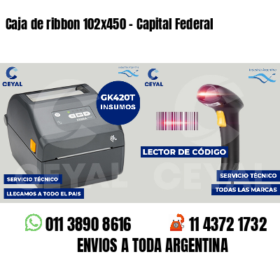 Caja de ribbon 102x450 - Capital Federal