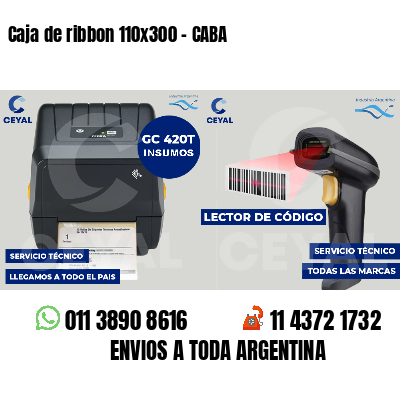 Caja de ribbon 110x300 - CABA