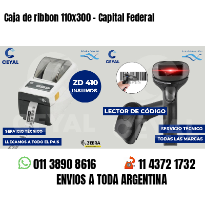 Caja de ribbon 110x300 - Capital Federal