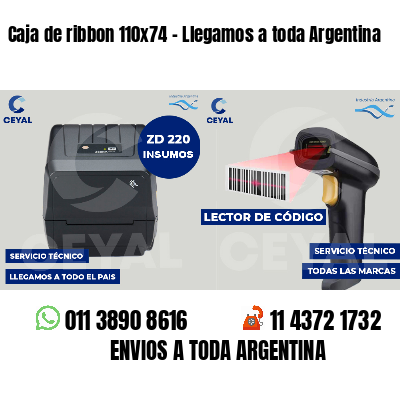 Caja de ribbon 110x74 - Llegamos a toda Argentina