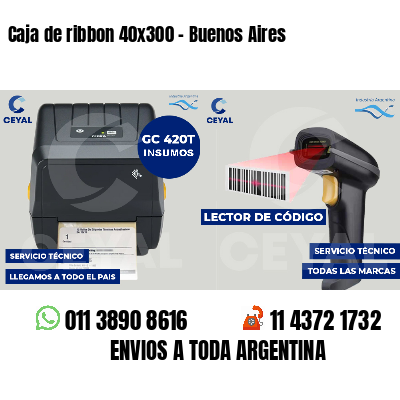 Caja de ribbon 40x300 - Buenos Aires