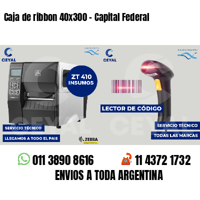 Caja de ribbon 40x300 - Capital Federal