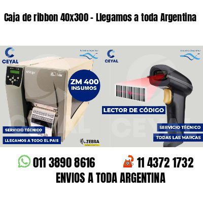 Caja de ribbon 40x300 - Llegamos a toda Argentina