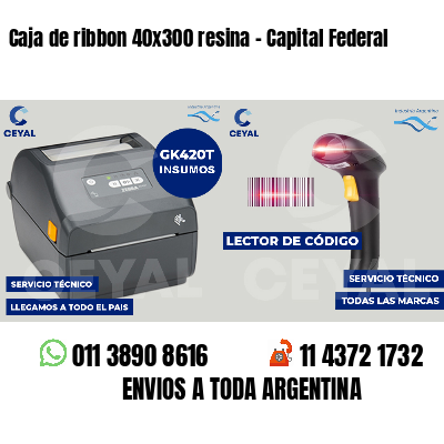 Caja de ribbon 40x300 resina - Capital Federal