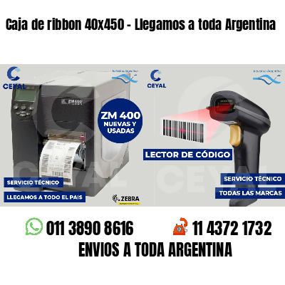 Caja de ribbon 40x450 - Llegamos a toda Argentina