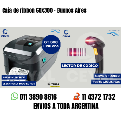 Caja de ribbon 60x300 - Buenos Aires