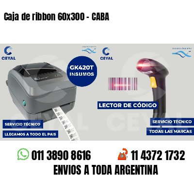 Caja de ribbon 60x300 - CABA